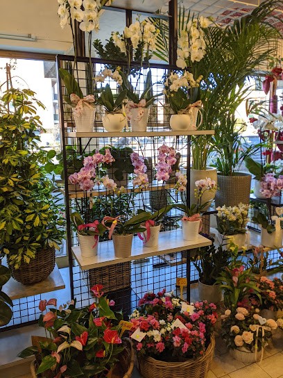 Fioreria Un'idea, Fiorista a Marostica