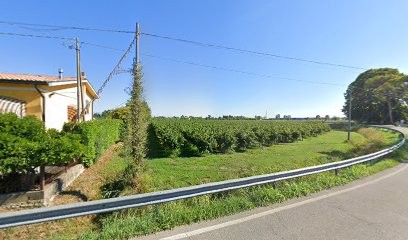 Floralina, Fiorista a San Biagio di Callalta
