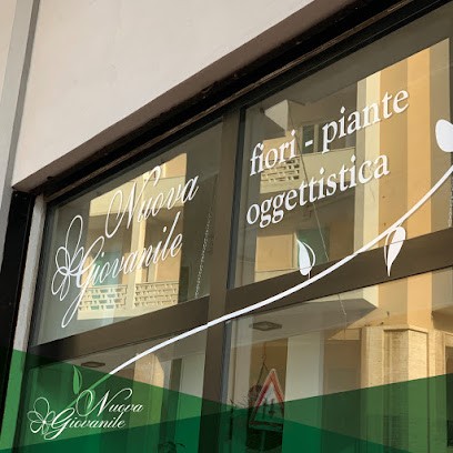 Nuova Giovanile Fiori, Piante E Oggettistica, Fiorista a Piombino
