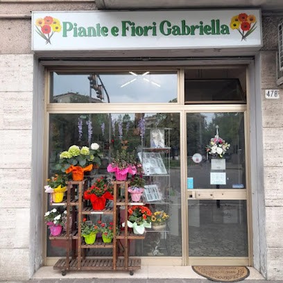 Piante e fiori Gabriella - Fiorista - Consegna fiori Modena, Fiorista a Modena