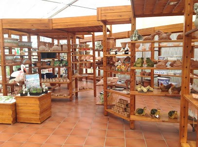 Floricoltura Saletti Mirco, Fiorista a Cannobio