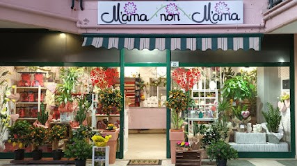 M'ama Non M'ama - Fiori Piante Addobbi, Fiorista a Latina