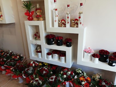 Alessandro Longo Fiorista, Fiorista a Aprilia