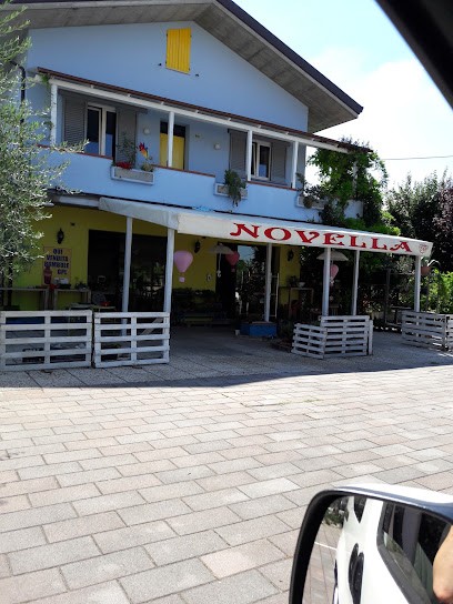 Fiorista Novella, Fiorista a Cesena