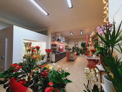 Peonia Flowers, Fiorista a Montepulciano