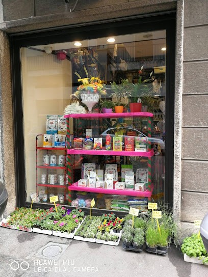 L'Angolo Fiorito, Fiorista a Trieste