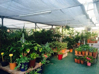 Vivaio Taroni, Fiorista a Roma