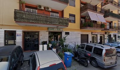 Plante E Flori Massino, Fiorista a Marano di Napoli