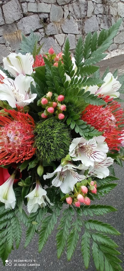 Fiori E Creazioni Di Moira Di Tamburrano Concetta Fiorista, Fiorista a Ponzone