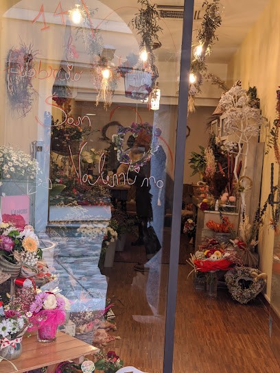 Ciocomarro Fiori Catia Wedding service and Shop, Fiorista a Cesena