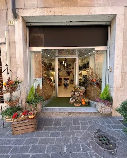 Clorophilla Fiori Terni, Fiorista a Terni