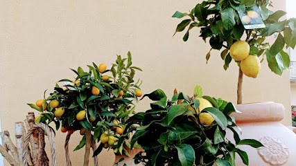 Fioreria De Polo Arrigo, Fiorista a Tarzo