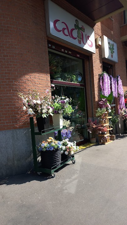 Cactus, Fiorista a Torino