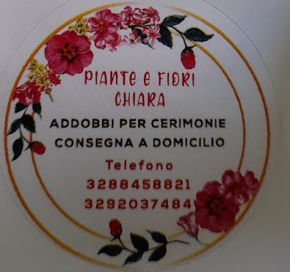 Chiara Fiori, Fiorista a Roma