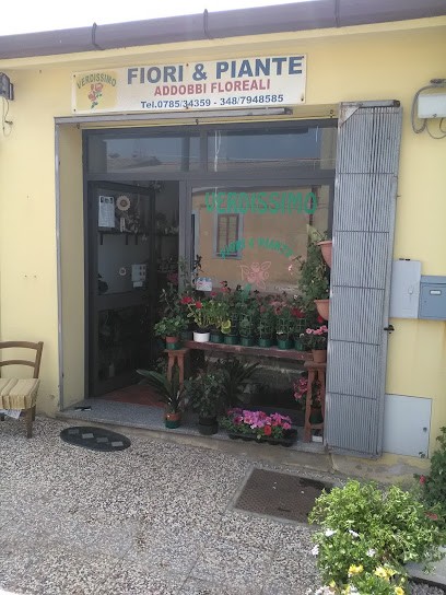 Verdissimo Di Bennici Maria Antonietta, Fiorista a Flussio