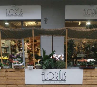 Florius Flowers And Plants Torino, Fiorista a Torino