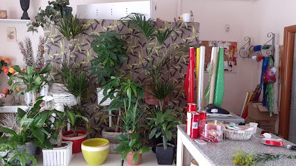 D'Ambrosio Fioristi, Fiorista a San Nicola la Strada