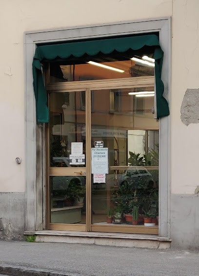Fioraio Fabozzi Franco Di Luca Fabozzi & C. Snc, Fiorista a Prato