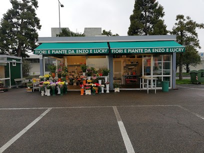 Fiori e Piante da Enzo e Lucry, Fiorista a Rozzano