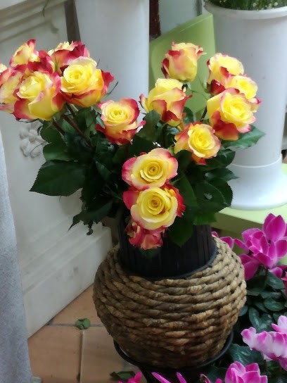 L'idea fiorita, Fiorista a Spotorno