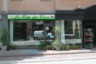 La Fata Dei Fiori, Fiorista a Treia