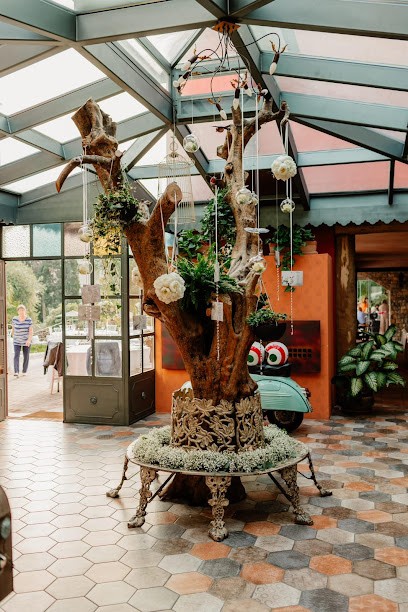 Fiori Arma Di Taggia - Un Pensiero Per Te, Fiorista a Taggia