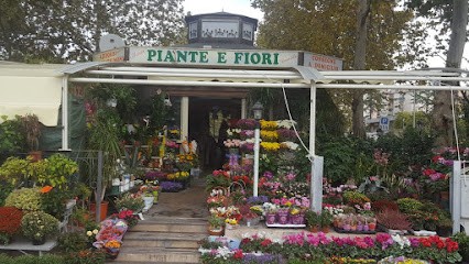 Marco E Daniela Florist, Fiorista a Roma