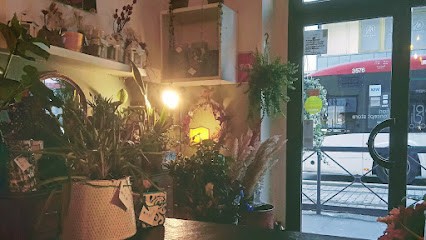 I Fiori Di Pinocchio, Fiorista a Firenze