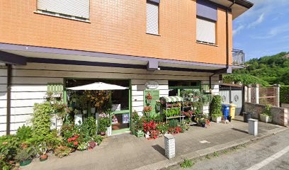 Fioridea, Fiorista a Casalvieri