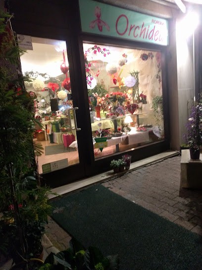 Fioreria Orchidea Di Olivetto Luisa, Fiorista a Battaglia Terme