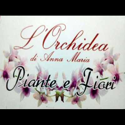 L’Orchidea di Zinchiri Anna Maria, Fiorista a Berchidda