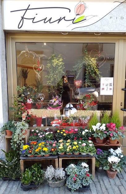 Fiurí Fenestrelle - Negozio di fiori e piante, Fiorista a Fenestrelle