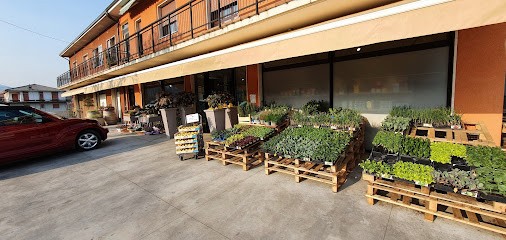 Clorofilla - Ortofrutta E Fioreria, Fiorista a Montecchia di Crosara