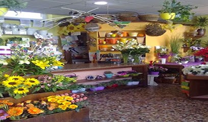 Fioreria Ideafiori Di Paola Don - Consegne A Domicilio, Addobbi Per Ogni Occasione, Fiorista a Cividale del Friuli