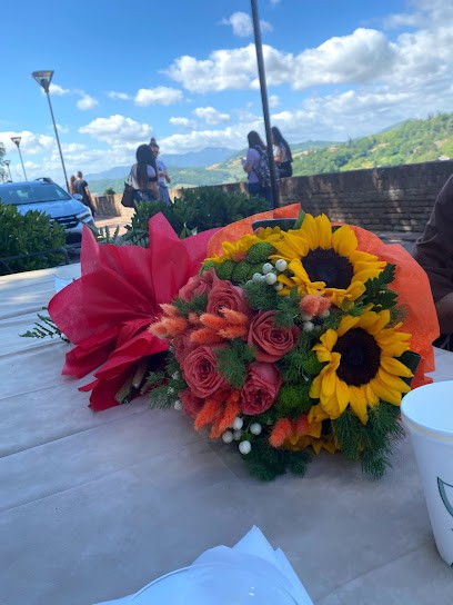 Ball Flor, Fiorista a Castelfidardo