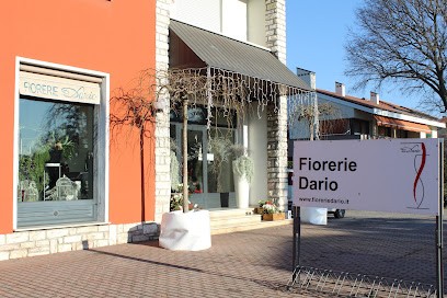 Fiorerie E Onoranze Funebri Dario, Fiorista a Castelfranco Veneto