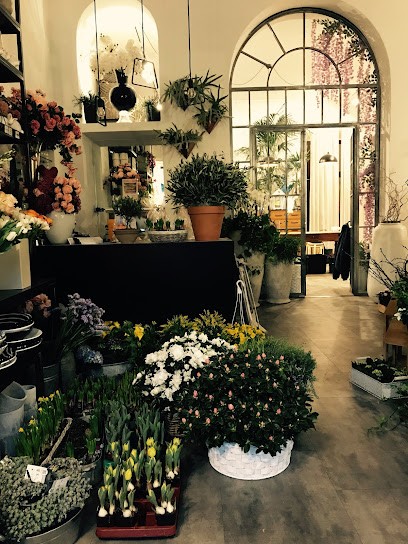 FIORIDEA, Fiorista a Luino