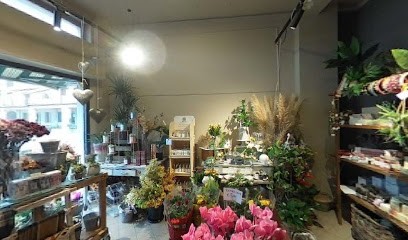 Papaveri E Papere, Fiorista a Graffignana