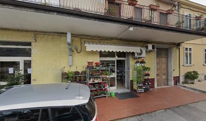 La Gardenia Di Vairo Luigi, Fiorista a Albanella