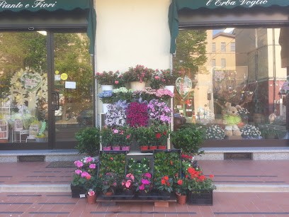 Fiorista L'Erba Voglio, Fiorista a Pieve Emanuele