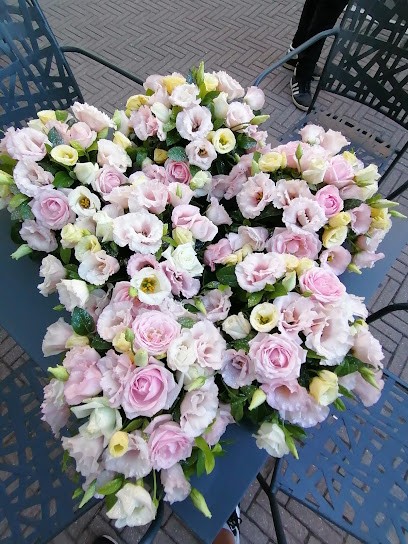 La Fioreria Di Vasco Pantaleo, Fiorista a Matera