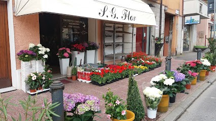 S.g.flor, Fiorista a Nuoro