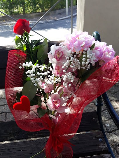 Fiori e piante di Astore Marcella, Fiorista a Agropoli