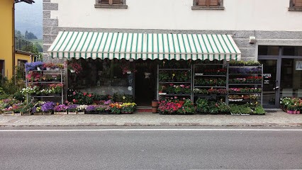 La Boutique Del Fiore, Fiorista a Sant'Omobono Terme