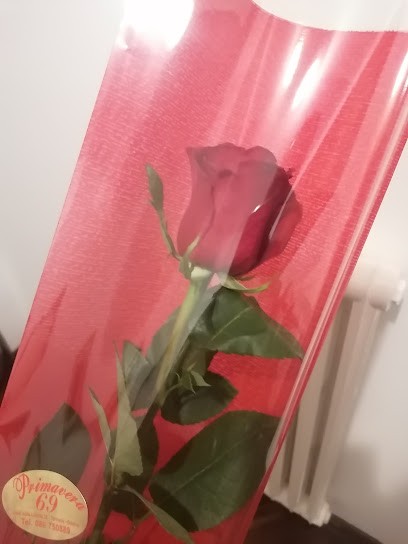 La Primavera Di Spatuzzi Carmela, Fiorista a Salerno