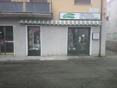 Fiorista Maura Ghirelli, Fiorista a Casina