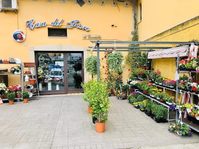 Casa Del Fiore di Curatella, Fiorista a Rionero in Vulture