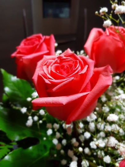 Costa Fiori, Fiorista a Favara