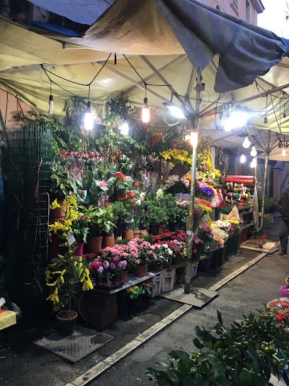 Pianta Fiori Hosni, Fiorista a Roma