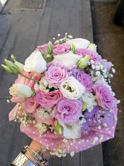 Emozioni Floreali, Fiorista a Mercato San Severino